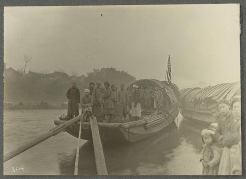 洛克王国紫藤的快速收集方法(洛克王国紫藤可掉落吗)插图40