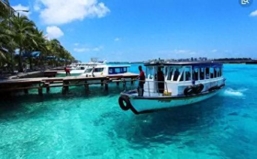 牛奶鱼群汤(牛奶麻酱汤做法大全)插图14 牛奶鱼群汤(牛奶麻酱汤做法大全)插图14