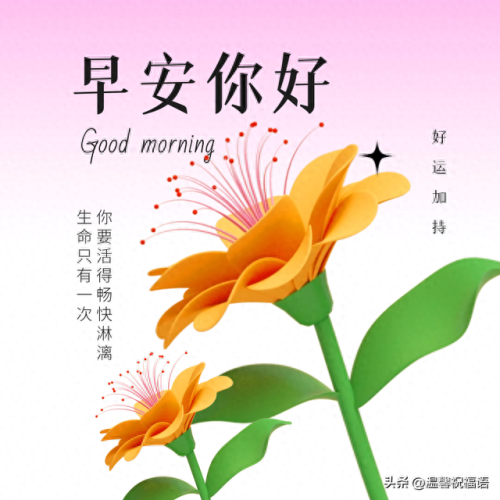 裁缝图纸(裁缝图纸购买)插图4