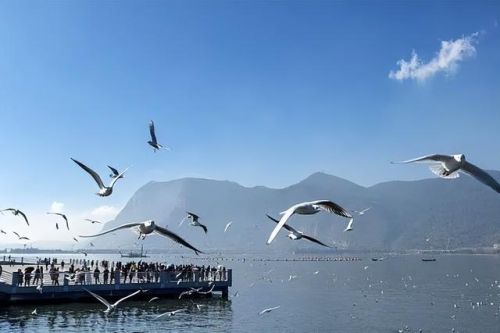 晋宁民宿排名前十(昆明最好的民宿)插图 晋宁民宿排名前十(昆明最好的民宿)插图
