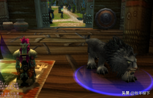 wow狮王休玛(狮王休玛位置在哪)