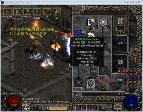 暗黑2技能加点(暗黑2单次加点)插图3