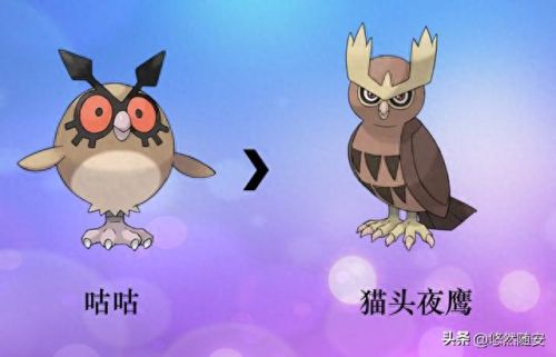 波克比几级进化(口袋妖怪魂银波克比几级进化好)插图11