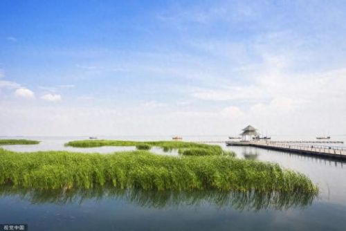 湿地又叫什么名字(湿地植物品种大全)插图 湿地又叫什么名字(湿地植物品种大全)插图