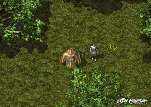 森林怪物(森林怪物电影)插图3 森林怪物(森林怪物电影)插图3