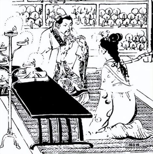 西班牙蚊帐排名前十图片(美朵嘉的蚊帐好吗)插图5 西班牙蚊帐排名前十图片(美朵嘉的蚊帐好吗)插图5