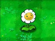 植物大战僵尸1老版本(plants vs zombies原版)插图75