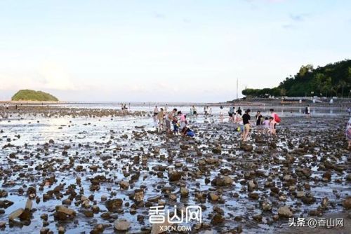 珠海世界排名前十(珠海十大海岛排名)插图40 珠海世界排名前十(珠海十大海岛排名)插图40