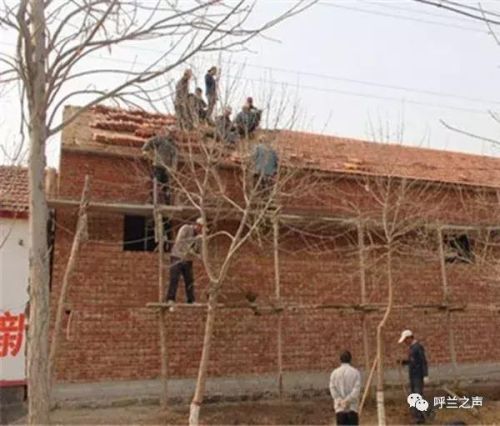 呼兰附近公墓排名前十(呼兰是谁)插图4 呼兰附近公墓排名前十(呼兰是谁)插图4