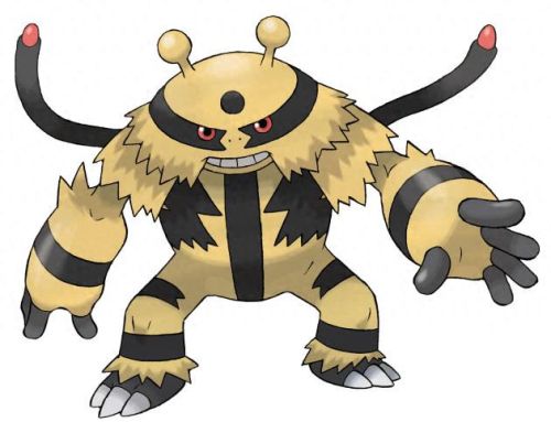 十大最强电系宝可梦(小智的十二只神兽)插图1 十大最强电系宝可梦(小智的十二只神兽)插图1