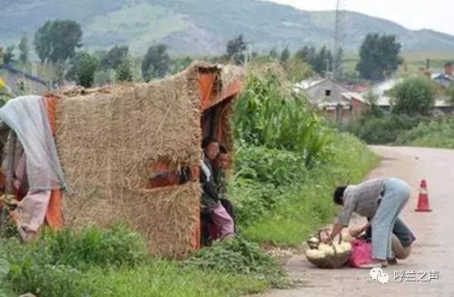 呼兰附近公墓排名前十(呼兰是谁)插图6 呼兰附近公墓排名前十(呼兰是谁)插图6