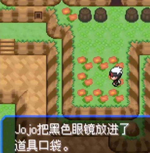 口袋妖怪究极绿宝石(口袋妖怪版本大全)插图44