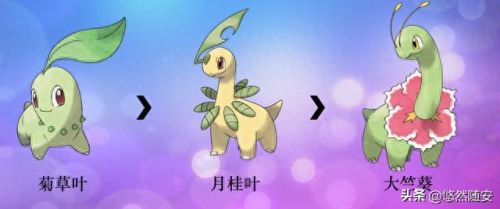 波克比几级进化(口袋妖怪魂银波克比几级进化好)插图6