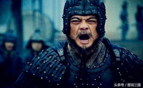 魏延厉害吗(三国志最顶级的魏延盾)插图 魏延厉害吗(三国志最顶级的魏延盾)插图