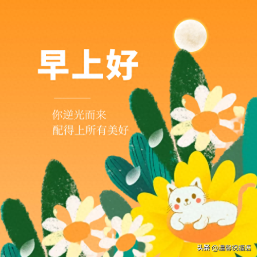 裁缝图纸(裁缝图纸购买)