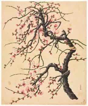 洛克王国紫藤的快速收集方法(洛克王国紫藤可掉落吗)插图13