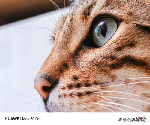 手机影像最新排名前十(最新影像图用什么软件看)插图16 手机影像最新排名前十(最新影像图用什么软件看)插图16