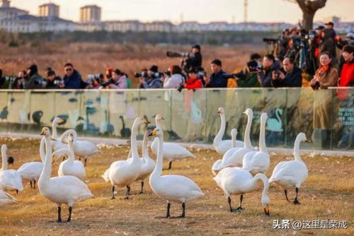 威海荣成温泉排名前十(威海哪个温泉是天然温泉)插图11 威海荣成温泉排名前十(威海哪个温泉是天然温泉)插图11