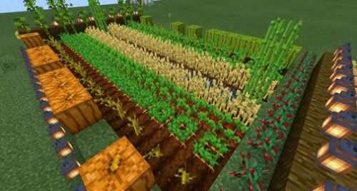 疯狂农场攻略一览(疯狂农场第一季片头)