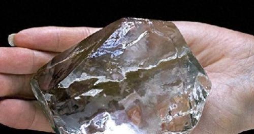 植物大战僵尸十亿钻石(植物大战僵尸2钻石号)插图 植物大战僵尸十亿钻石(植物大战僵尸2钻石号)插图