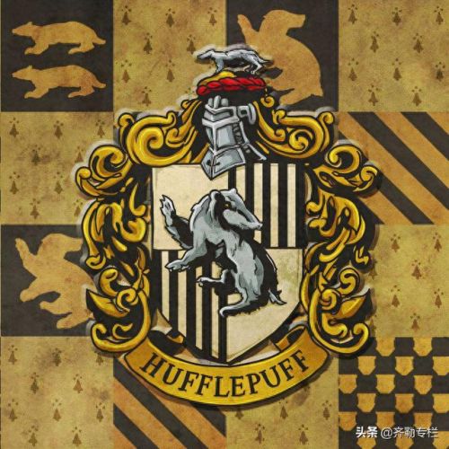 哈利波特四个学院(哈利波特四大学院变装)插图2