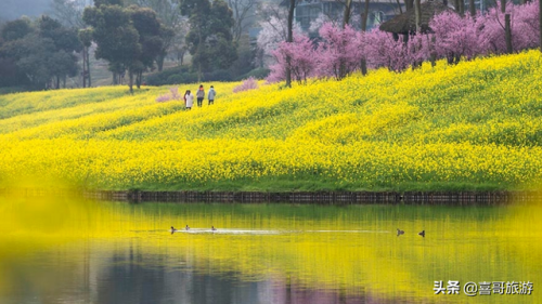 巴南景点排名前十(巴南区景点哪里好玩)