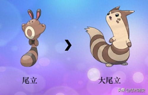 波克比几级进化(口袋妖怪魂银波克比几级进化好)插图10