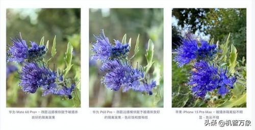 手机影像最新排名前十(最新影像图用什么软件看)插图7 手机影像最新排名前十(最新影像图用什么软件看)插图7