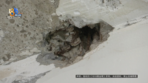 黄金眼图片浏览器(黄金眼浏览器如何打开图片)插图1