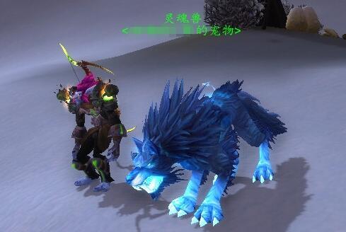 海加尔山灵魂兽刷新点(10.0兽王猎人宝宝推荐)插图1 海加尔山灵魂兽刷新点(10.0兽王猎人宝宝推荐)插图1