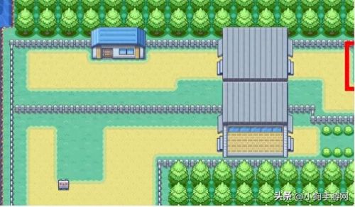 口袋妖怪叶绿(口袋妖怪叶绿攻略)插图