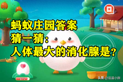 经常吃汤泡饭蚂蚁庄园(今日蚂蚁答题正确答案)