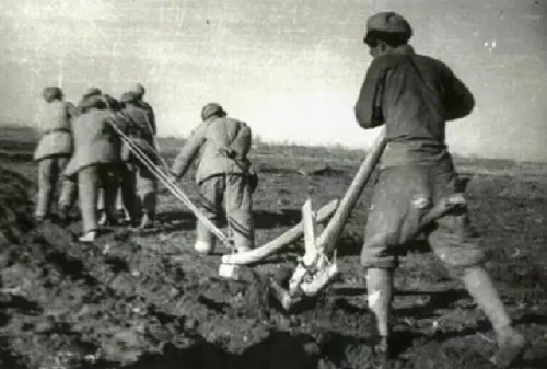 新疆生产建设兵团(新疆两个武警总队多少兵力)插图2 新疆生产建设兵团(新疆两个武警总队多少兵力)插图2