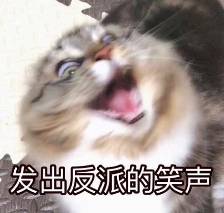 爆笑qq表情(表情包搞笑QQ)插图6