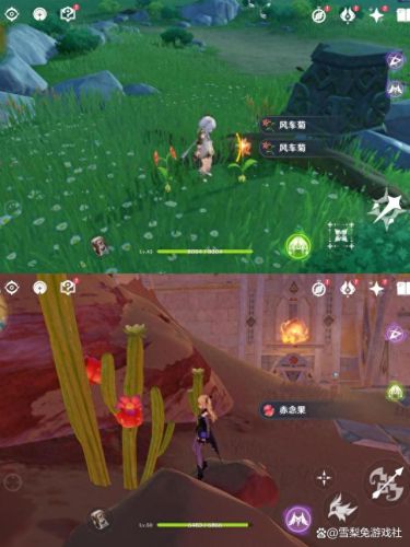 原神石珀在哪(石珀哪里采集)插图6 原神石珀在哪(石珀哪里采集)插图6