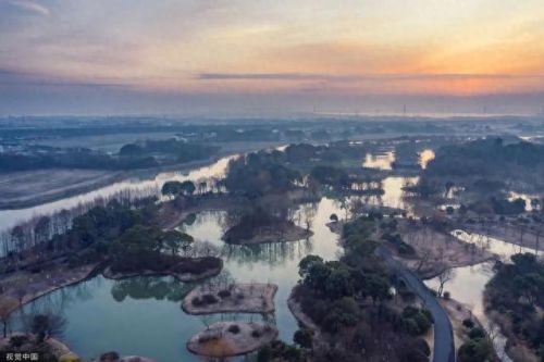 湿地又叫什么名字(湿地植物品种大全)插图7 湿地又叫什么名字(湿地植物品种大全)插图7