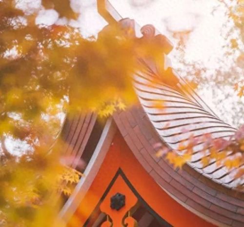 萧萧宵征枫叶在公蚂蚁庄园(萧萧游戏解说)插图7 萧萧宵征枫叶在公蚂蚁庄园(萧萧游戏解说)插图7