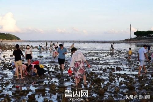 珠海世界排名前十(珠海十大海岛排名)插图39 珠海世界排名前十(珠海十大海岛排名)插图39