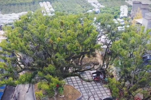 桂林著名村庄排名前十(国外有些哪有名的村庄)插图 桂林著名村庄排名前十(国外有些哪有名的村庄)插图