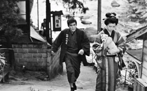 创造与魔法雪国精灵(创造与魔法雪国精灵概率)插图1