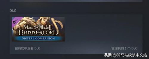 骑马与砍杀2(骑马与砍杀2dlc值得买吗)插图8