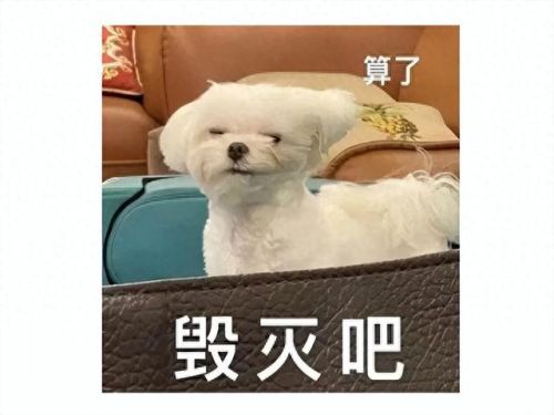 免费网游哪个好玩(适合长期玩的手游)插图14 免费网游哪个好玩(适合长期玩的手游)插图14