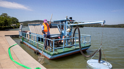 湿地又叫什么名字(湿地植物品种大全)插图3 湿地又叫什么名字(湿地植物品种大全)插图3