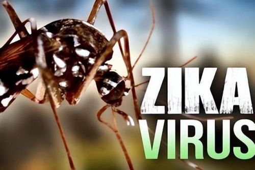 西班牙蚊帐排名前十图片(美朵嘉的蚊帐好吗)插图7 西班牙蚊帐排名前十图片(美朵嘉的蚊帐好吗)插图7