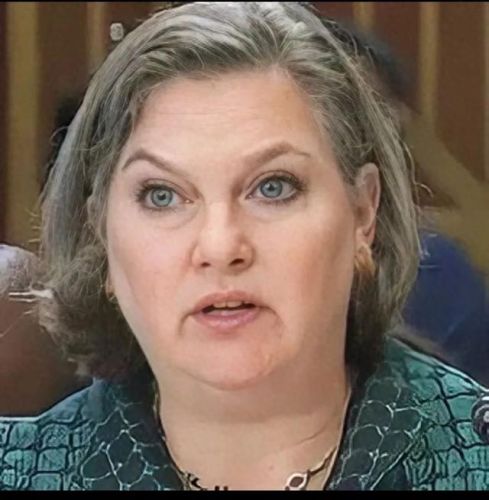 血腥杀手(血腥的杀手电影)插图