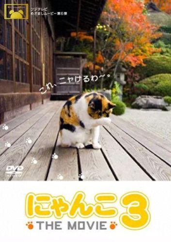 猫咪物语3(猫咪物语1官方)插图8 猫咪物语3(猫咪物语1官方)插图8