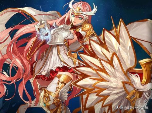 dnf柔道(dnf女柔道技能详细介绍)插图