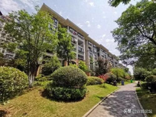 宣城百姓论坛(宣城发生了一起严重的交通事故)插图13