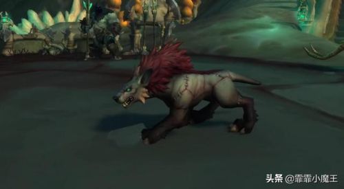 猎人宝宝大全带图(60怀旧服猎人实用宏)插图8