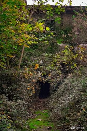 废弃的精神病院(废弃的孤儿院)插图5 废弃的精神病院(废弃的孤儿院)插图5